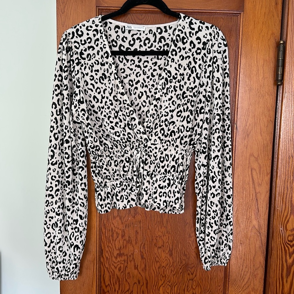 Zara Ruched V Neck Blouse